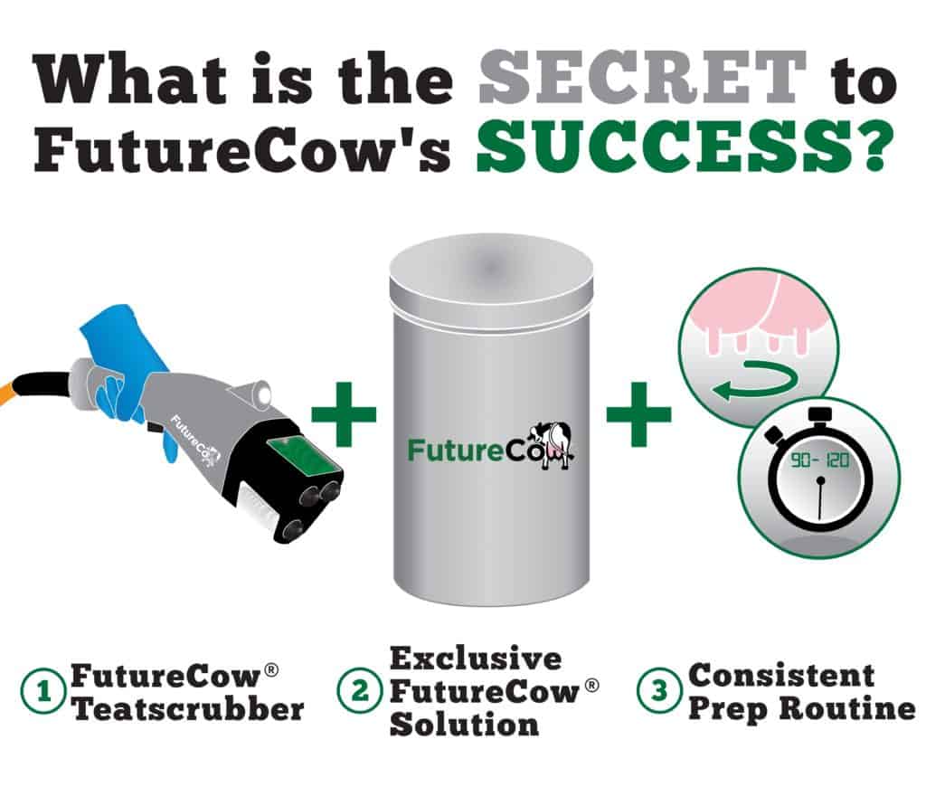 fc socialmedia fcsuccess rev website 1024×891 fc socialmedia fcsuccess rev website 1024x891